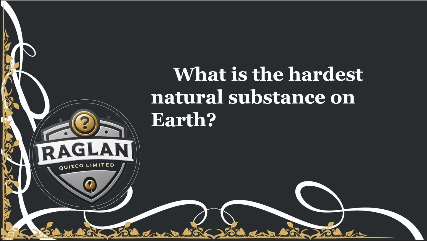 The Wellness Day Puzzler: Owl Quiz Package